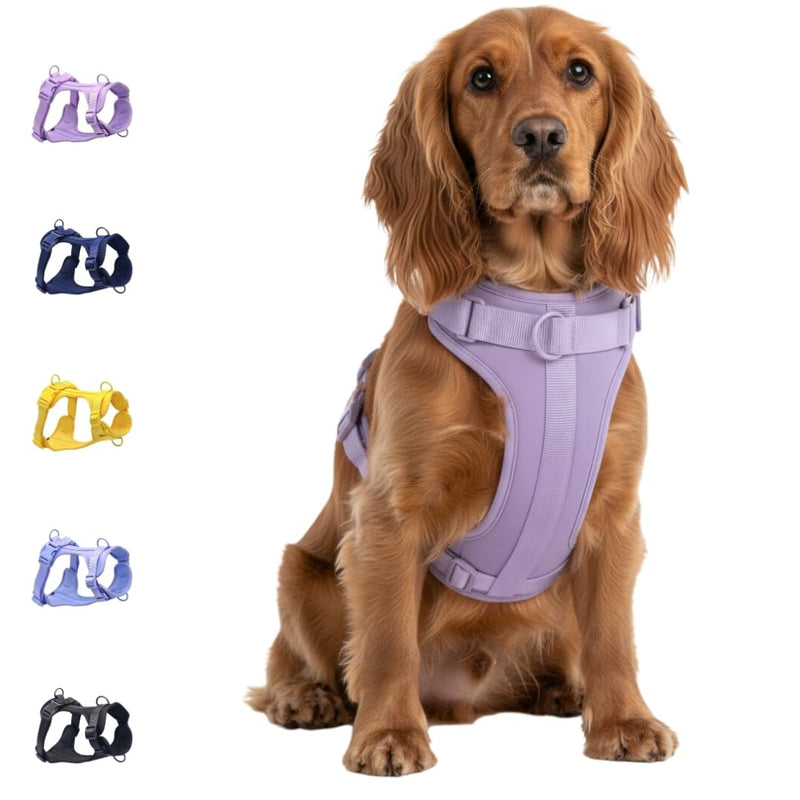 Dog Harness, No-Pull Pet Harness with 3 Leash Clips, Adjustable Soft Padded Dog Vest, Breathable Mesh Cushion for Small Medium Large Dogs (Purple, Medium (Neck:15"-19" Chest 22"-30")) Medium (Neck:15"-19" Chest 22"-30") Purple - PawsPlanet Australia