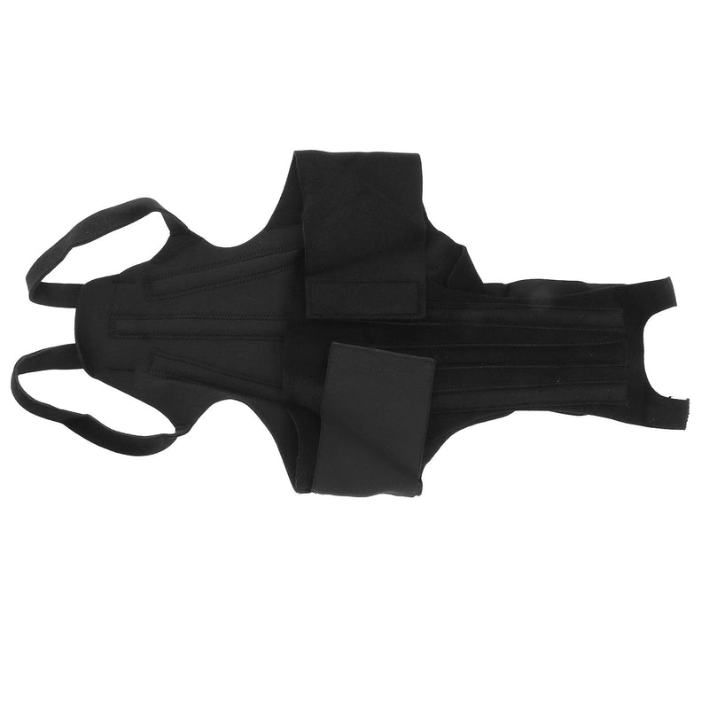 Dog Back Brace, Pet Back Bracer, Dog Back Protector for Arthritis, Spinal Surgical Recovery, Herniated Slipped Disc, Rehabilitation, Injury, Dog Back Supporting Vest (M) - PawsPlanet Australia