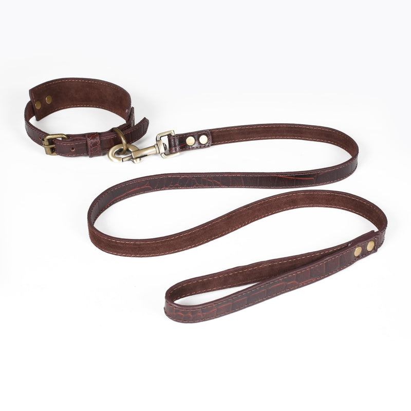 Lightnpro Genuine Leather Dog Collar & Leash Set - Adjustable 24" Collar with Metal Buckle + Durable Lead - Premium Walking & Training Gear for Large Breeds (German Shepherd, Bernese, St. Bernard) 24 Inch Collar Dark Brown
