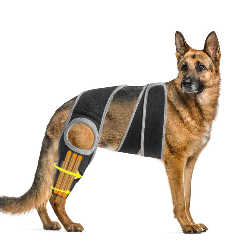 Dog ACL Knee Leg Brace, Dog Hip Brace for Front Torn and Back ACL Hind Rear Legs, Comfortable & Adjustable Tailwind Dog Hip Dysplasia Brace for Dog Arthritis, Luxating Patella with 10X Support (L) L - PawsPlanet Australia