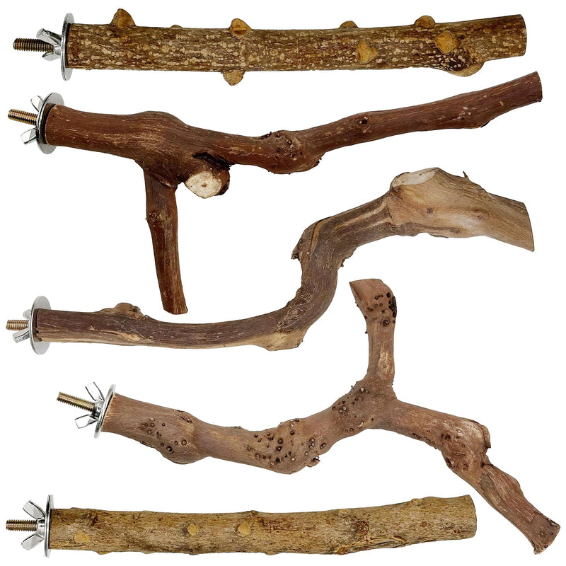 Woohome 5 PCS Natural Grape Stick Natural Wooden Parrot Stand, 3 Grape Wood Perch, 2 Stand, Paw Grinding Fork Bird Perch Stand for Cage Accessorie, Cockatiels, Small Birds WDM-NZG-006 - PawsPlanet Australia