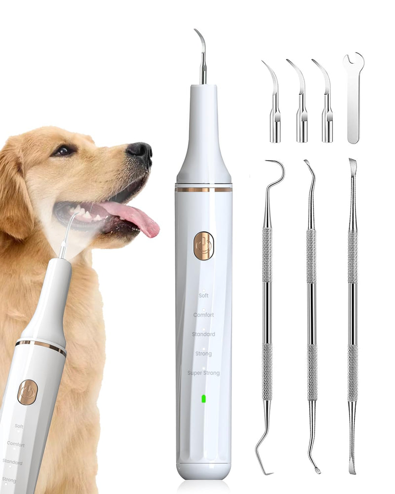 Hansaplast Plaque Remover for Teeth, Dog Teeth Cleaning, Dental Tools to Remove Tartar and Stains, Safe for Dogs & Cats, with Led Light & 5 Adjustable Modes (A-White) (A-White) A-White - PawsPlanet Australia