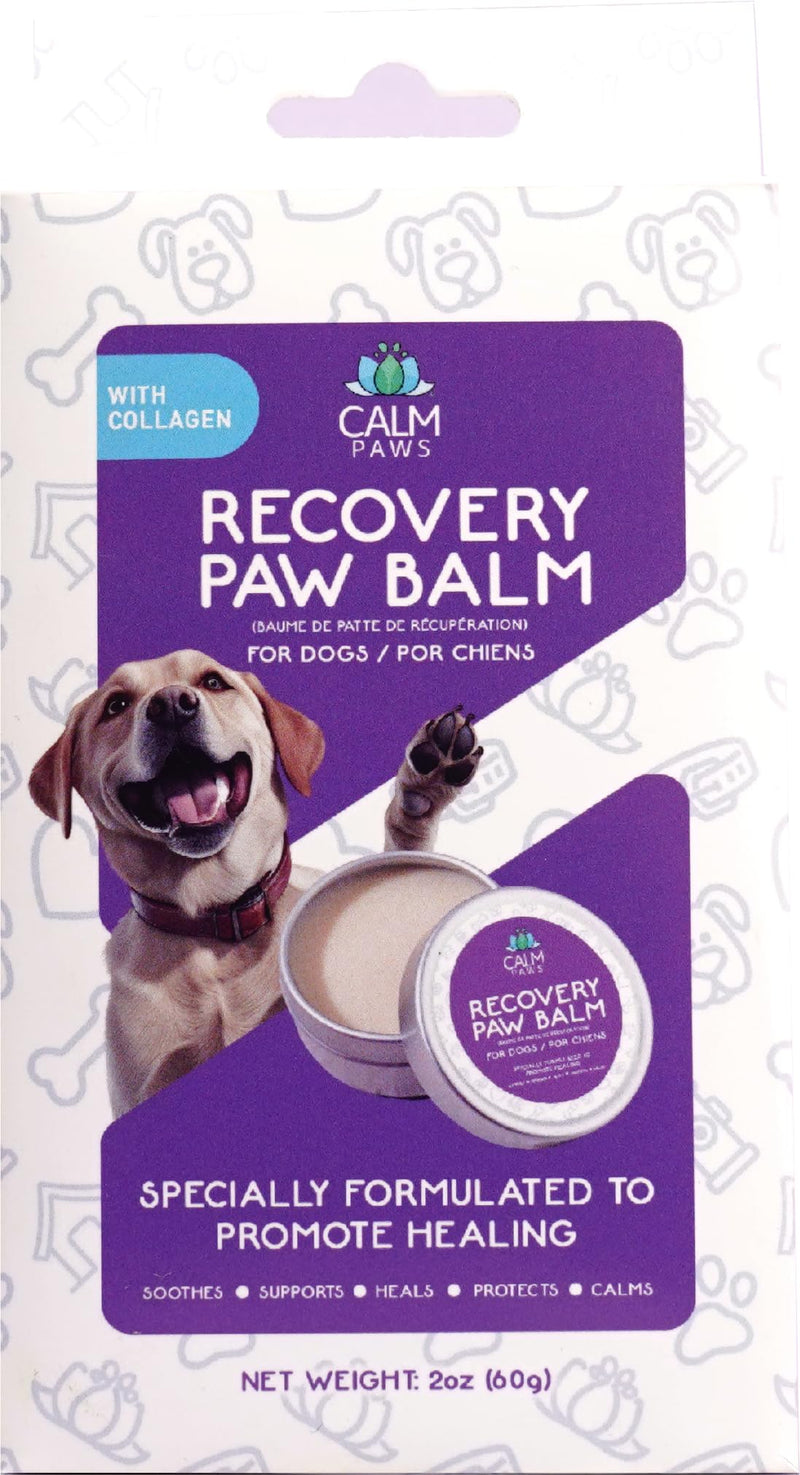 Recovery Healing & Calming Paw Balm - PawsPlanet Australia