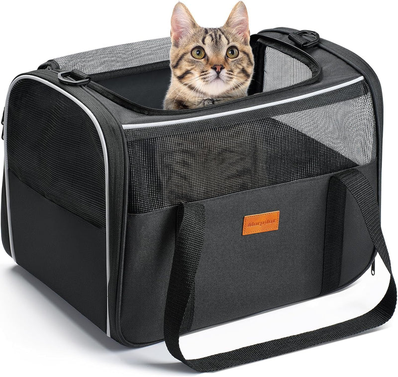 Morpilot Cat Carrier Soft - Portable Pet Carrier for Small or Medium Cats, Dogs and Puppy up to 14lbs, Airline Approved Dog Carrier with Safety Buckle - (Dark Gray) 16.0"L x 10.4"W x 11.2"H - PawsPlanet Australia
