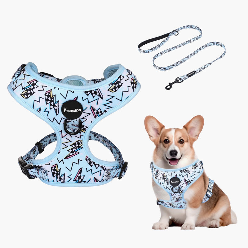 Petmolico Dog Harness and Leash Set Soft Mesh Small Dog Harnesses Vest No Pull Dog Vest Puppy Harness and Leash Set Training(Blue, Medium) - PawsPlanet Australia