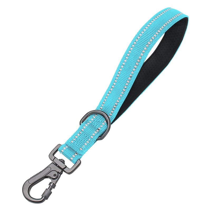 12 Inch Training Dog Short Leash with Padded Handle for Large Dogs, Dog Lead with Locking Carabiner Clip, Strong Training Leash (Blue, 12 Inch) 12 InchFT Blue - PawsPlanet Australia