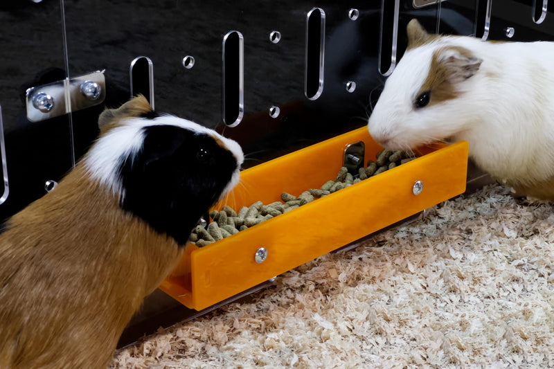 GuineaLoft™ Food Feeder Yellow - Say Goodbye to Traditional Bowls! Ultimate Feeder for Small Pets Like Guinea Pigs, Rabbits and Chinchillas. Designed & Made by Seasoned Owners - GuineaLoft Exclusive - PawsPlanet Australia