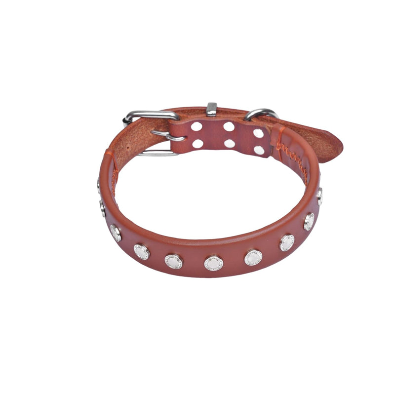 Premium Genuine Leather Dog Collar with Unique Rivet Detail - Durable, Adjustable, & Stylish & Comfortable Wear for All Breeds - Red Brown M (12.99~16.93") - PawsPlanet Australia