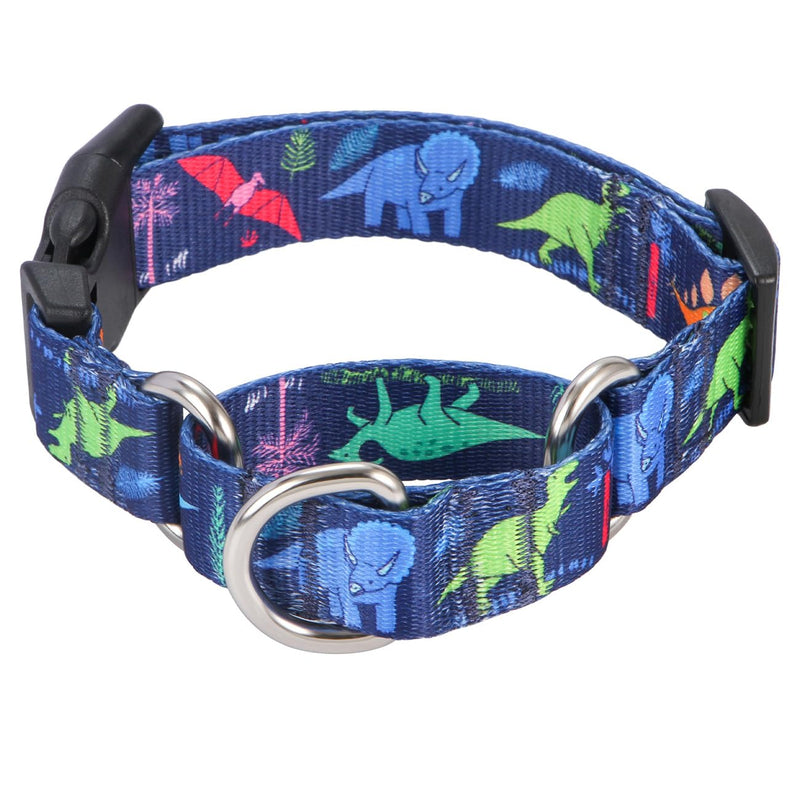 Rhea Rose Dog Martingale Collar with Quick Release Buckle, Adjustable Soft Escape Proof collar, Training collar, Dinosaur Patterns, Medium - PawsPlanet Australia