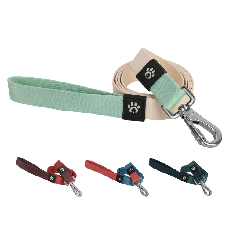Dog Leash, Eco-Friendly Recycled Polyester Webbing | Soft Hypoallergenic, Durable Metal Swivel Hook, Collar Attachable, 5.2 ft Length| Size S, Peach Creme - PawsPlanet Australia