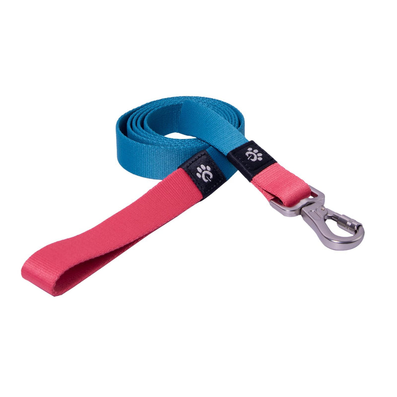 Basic dog leash, durable metal swivel hook, soft recycled webbing, collar attachable, 5.2 ft length for small/medium/big dog. Medium Mosaic Blue - PawsPlanet Australia