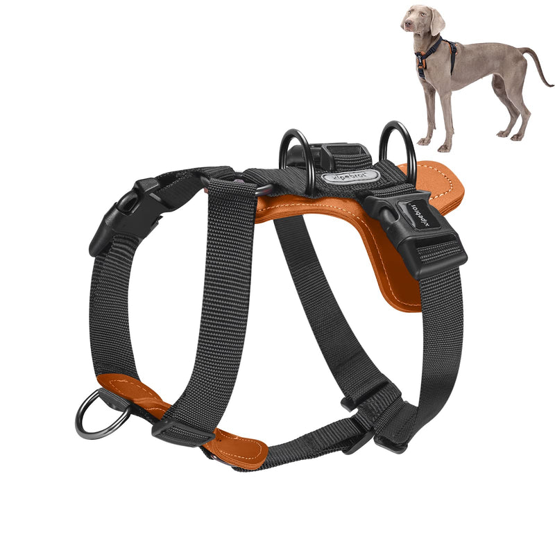Dog Harness, no Pull Dog Harness with lesthe Pads,Ideal for Dog Walking and Training. Easy Walk Dog Harness for Small(Black, M), Medium Black - PawsPlanet Australia