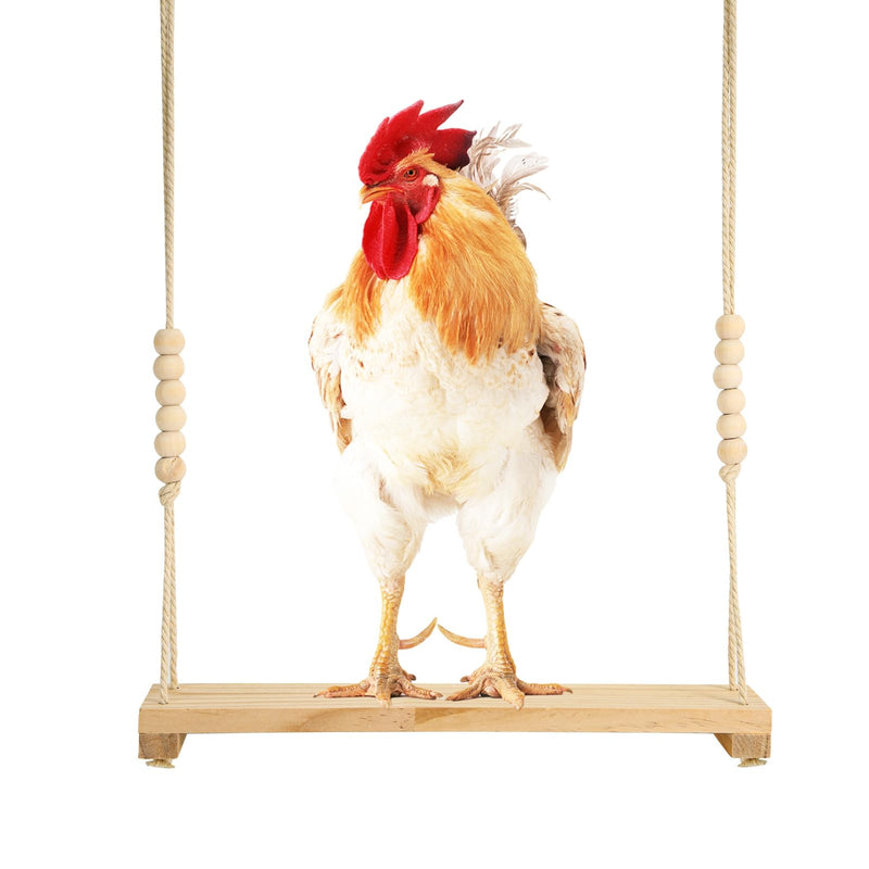 Chicken Swing Toy, Wooden Hen Swing Hanging Chicken Perch Ladder Swing Wood Stand Decorative Chicken Coop Accessories Toys Supplies for Rooster Chicken Owners & Lovers - PawsPlanet Australia