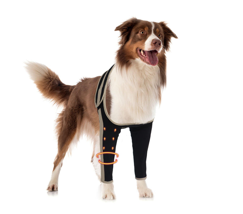 Dog Recovery Sleeve Front Leg Prevent Dog from Licking Wound, Dog Leg Sleeve is Made of Yoga Fabric, Dog Dleeve to Prevent Licking is Breathable, Suitable for Summer, Cone Collar Alternative L double leg black - PawsPlanet Australia