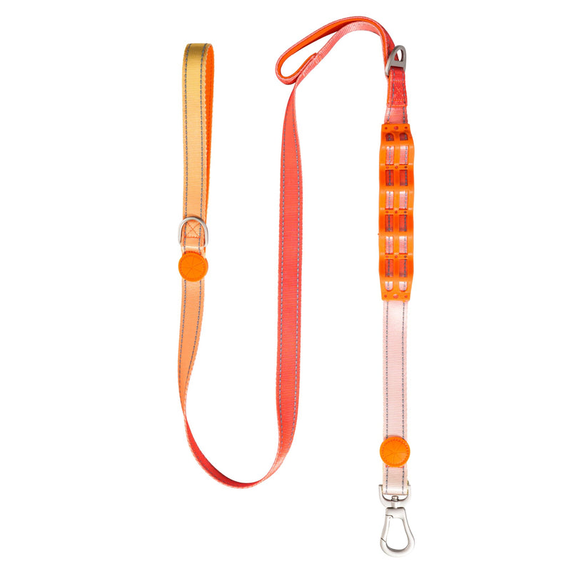 Desired Things Bungee Dog Leash Reflective Training Leash with Shock Absorbent Spring, Emergency Pull Handle, Collar Latch, D-Ring Buckle for Dog Treats, Poop Bags, Puppy Essentials - Pink and Orange - PawsPlanet Australia