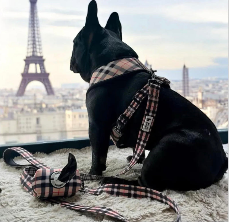 Classic Plaid Reversible Harness & Leash Set(M), Medium, Cream M - PawsPlanet Australia