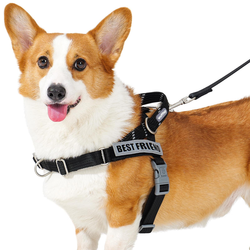 Easy Walk Dog Harness and Leash Set, Freedom No Pull Harness with 2 Patches,Escape Proof/Quick Fit to Adjust Dog Vest Harness,Easy for Training Walking for Small,Medium & Large Dogs(Black,M) Medium (Chest: 21.3-29") Black - PawsPlanet Australia