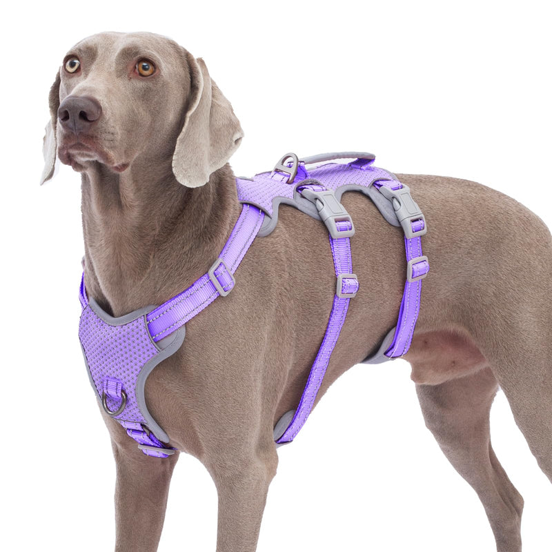 Huntboo Escape Proof Dog Harness, No Pull Reflective Harness with Lift Handle,Adjustable Pet Vest with Front and Back Leash Clips for Small Medium Large Dogs Walking Hiking Training(Lavender Purple,L) Lavender Purple Large(Pack of 1) - PawsPlanet Australia