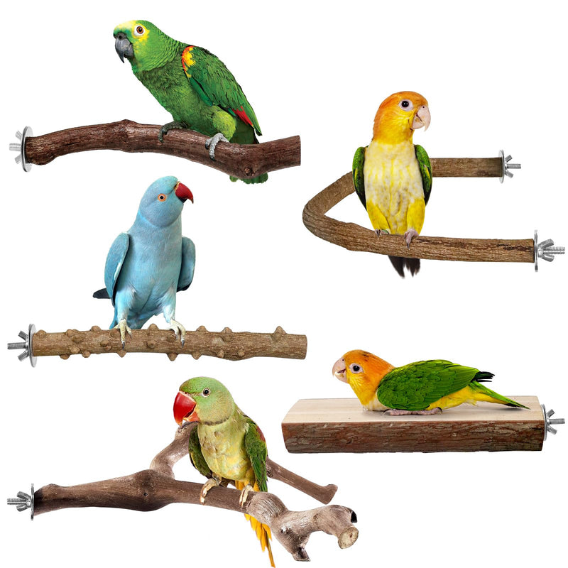 Bird Perches, 5pcs Natural Wood Birds Stand Branch, Bird Perch Chewing Stick Cage Accessories Parrot Climbing Standing Branches Paw Grinding Fork Sets for Cockatiels Ringneck Parrots Pattern-4 - PawsPlanet Australia
