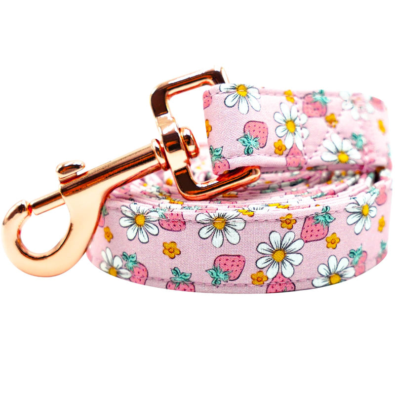 Lionheart glory Strawberries Print Dog Leash Pink Durable Dog Leashes with Comfortable Soft Handle for Small Medium and Large Spring Summer Dog Leash Girl or Boy Dogs Small (Pack of 1） L:Strawberries - PawsPlanet Australia