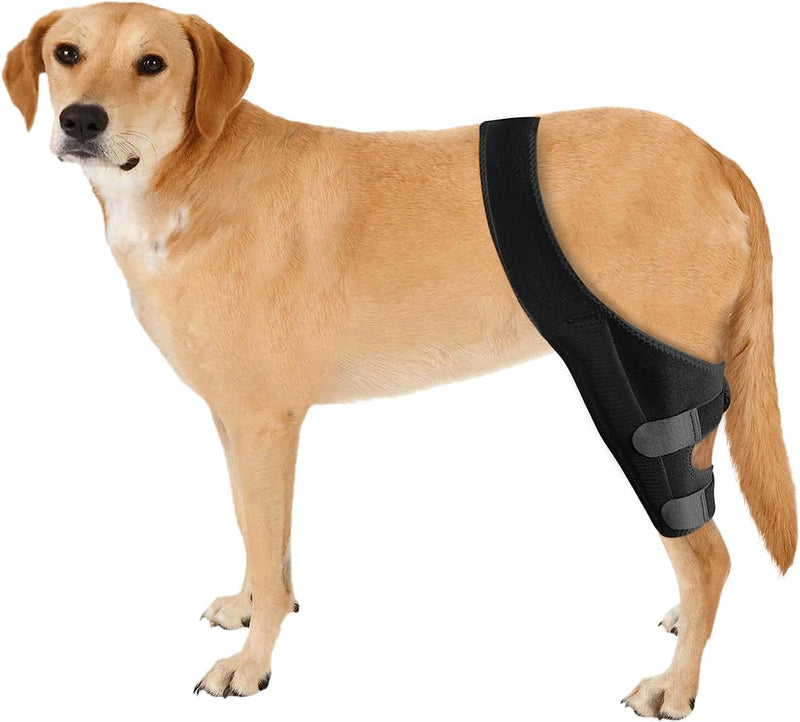 Dog Knee Brace Leg Braces - Dog Canine Knee Stifle Brace Wrap Dog Knee Brace for Torn ACL Hind Leg Joint Pain Muscle Sore Pet Brace Reduces Pain and Inflammation (S) S - PawsPlanet Australia