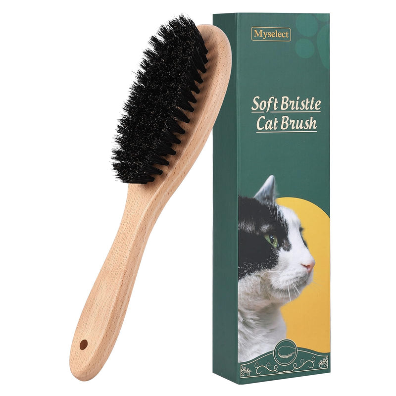 Boar Bristle Cat Brush with Wooden Handle, Soft and Gentle, Reduce Shedding, Make Coat Soft, Smooth and Shinny, Daily Grooming Tool for Short Haired Cats, Kitten Wood - PawsPlanet Australia