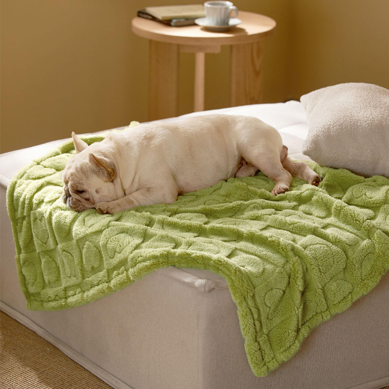 Bedsure Dog Blanket for Medium Dogs Washable - Fluffy Fuzzy Puppy Cat Blanket with Premium 300GSM Coral Fleece Soft for Pet Kitten Doggy, Green, 30x40IN Lint Heart M(30x40") - PawsPlanet Australia
