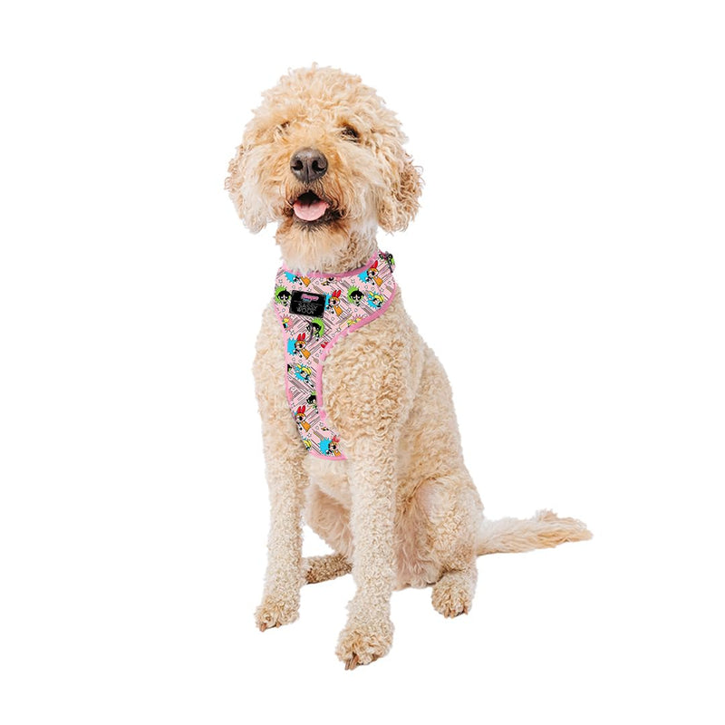 Sassy Woof Dog Adjustable Harness - The Powerpuff Girls™ (Pink) - L, Breathable Mesh, No Pull Design with Two D-Rings, Patented Design, Ideal for Large Dogs - Officially Licensed Dog harness - PawsPlanet Australia