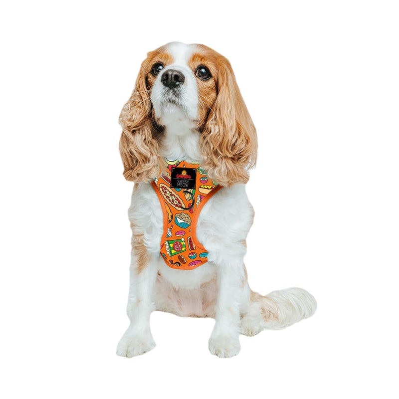 Sassy Woof Dog Adjustable Harness - Garfield™ - S, Breathable Mesh, No Pull Design with Two D-Rings, Patented Design, Perfect for Small Dogs and Puppies - Officially Licensed - PawsPlanet Australia
