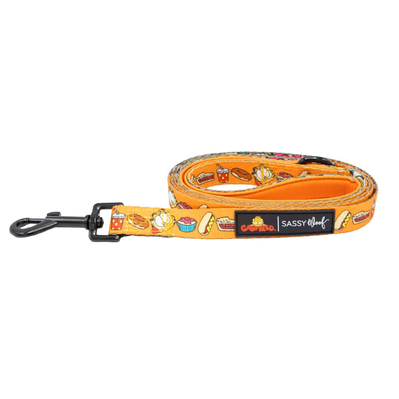 Sassy Woof Garfield™ Dog Leash 60-Inch with Neoprene Padded Handle - Comfortable, Durable, and Stylish for Small to Large Dogs - Officially Licensed