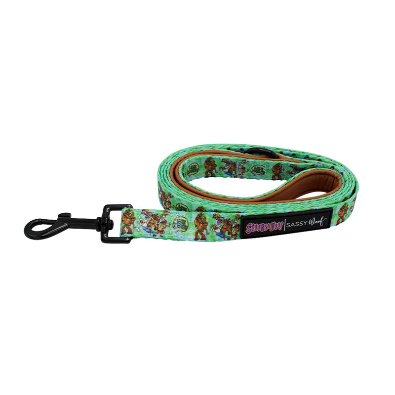 Sassy Woof Scooby-Doo™ Dog Leash 60-Inch with Neoprene Padded Handle - Comfortable, Durable, and Stylish for Small to Large Dogs - Officially Licensed - PawsPlanet Australia