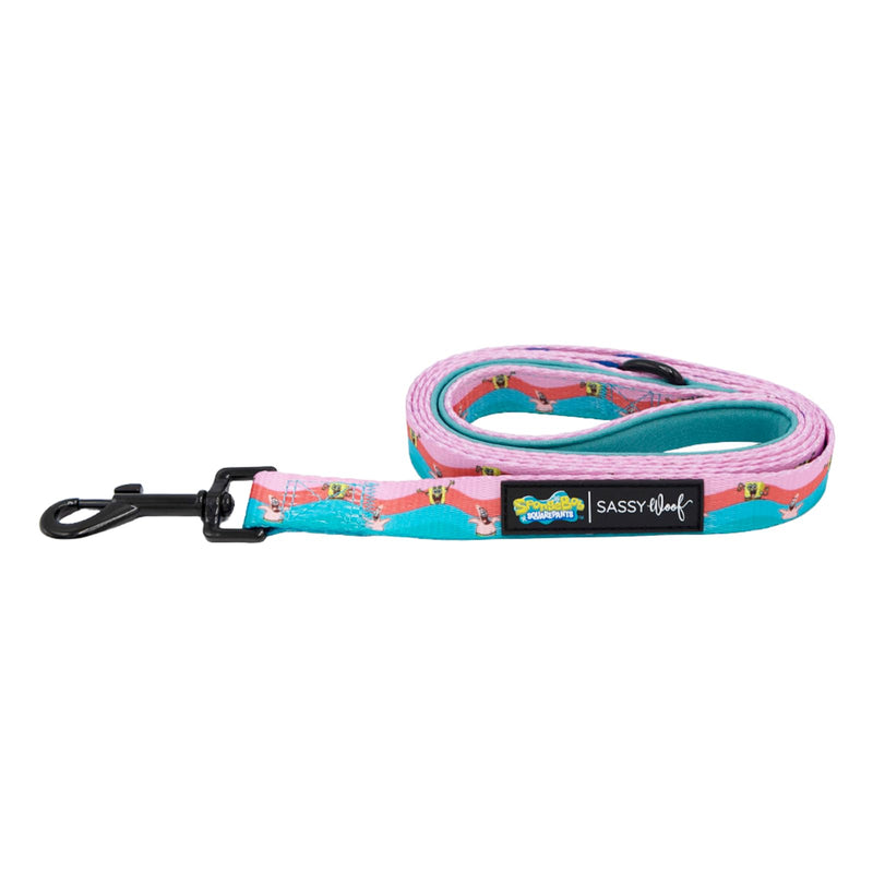 Sassy Woof Spongebob Squarepants™ and Friends Dog Leash 60-Inch with Neoprene Padded Handle - Comfortable, Durable, and Stylish for Small to Large Dogs - Officially Licensed - PawsPlanet Australia