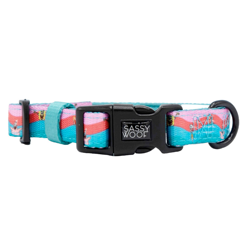 Sassy Woof Dog Collar Spongebob Squarepants™ and Friends - S, Adjustable, Durable, Comfortable and Stylish Pet Accessories for Small Dogs - Officially Licensed
