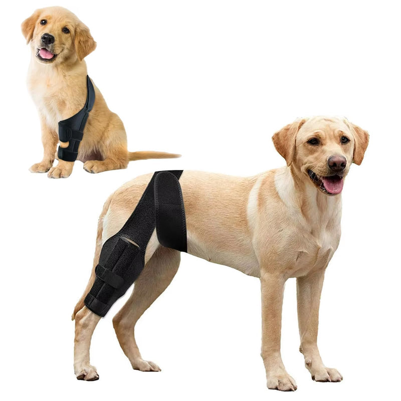 Knee Brace for Dog Torn Acl, Dog Knee Leg ACL Brace Adjustable Dog Braces for Back Leg for Support for Dog ACL CCL Recovery with Dog Leg Braces for Dog Hind Leg Reduce Pain & Muscle Sore (M) Medium - PawsPlanet Australia
