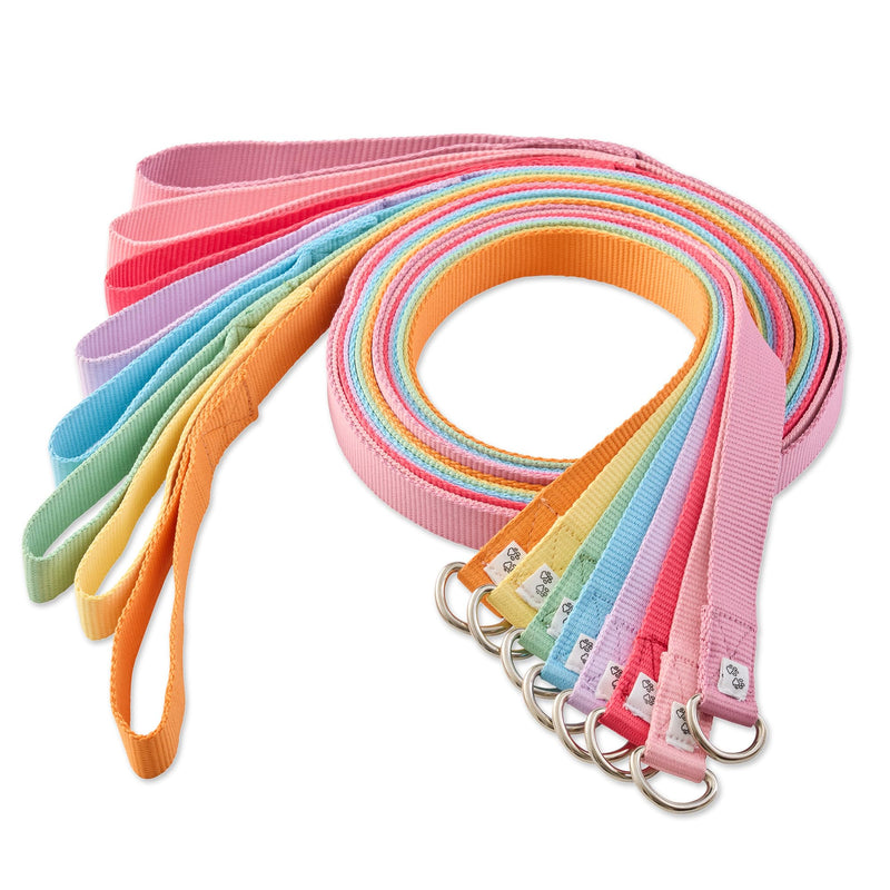 8-Pack Slip-on Style Dog Leash in Rainbow Colors 7 ft. for All Pet Breeds, Rainbow Pinks, One Size - PawsPlanet Australia