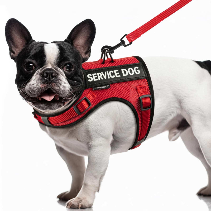 FAYOGOO Service Dog Vest for Small Dogs - Air Mesh Breathble Emotional Support Animal Vest with DIY Removable Patches - Puppy Harness and Leash Set Adjustable Neck and Chest Red Medium - PawsPlanet Australia