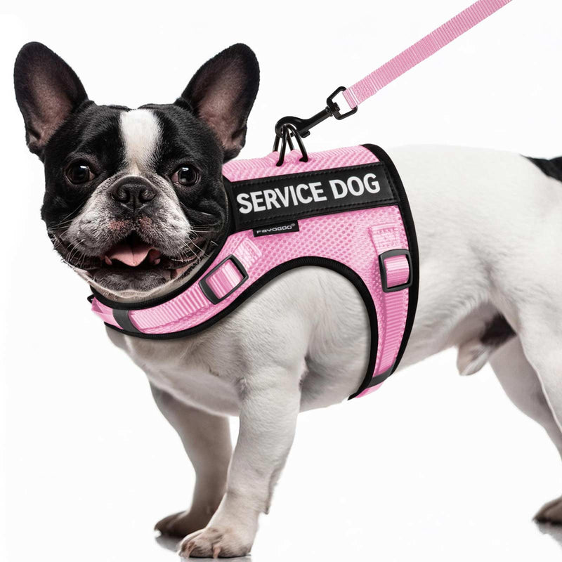 FAYOGOO Service Dog Vest for Small Dogs - Air Mesh Breathble Emotional Support Animal Vest with Velcro Patches - Puppy Harness and Leash Set Adjustable Neck and Chest Pink M - PawsPlanet Australia