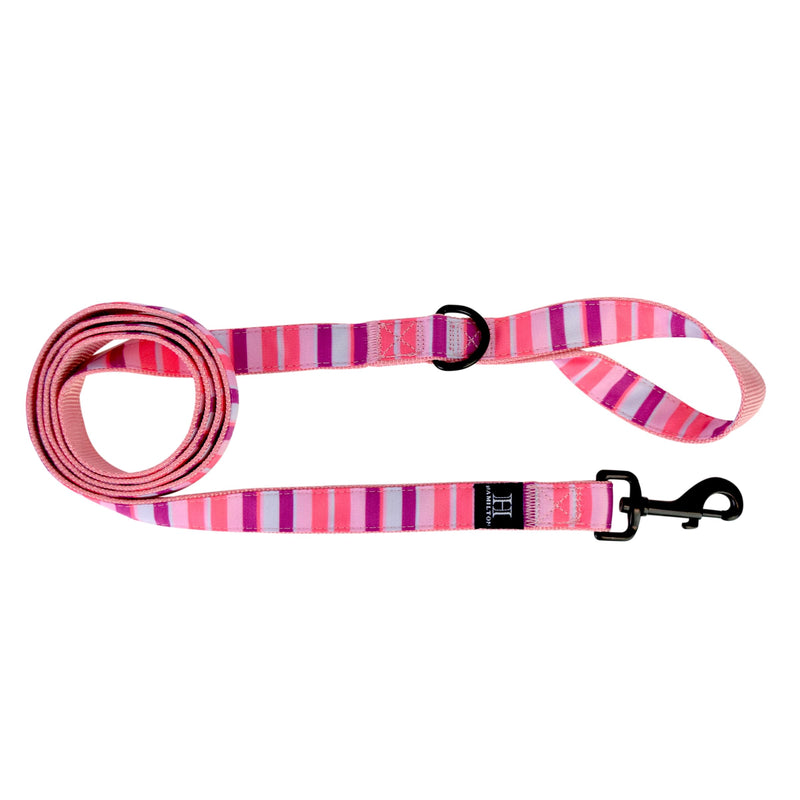 Hamilton 6 Foot Nylon Dog Leash, 5/8 Inch Wide, Pink Stripes Ribbon Overlay, Small/Medium