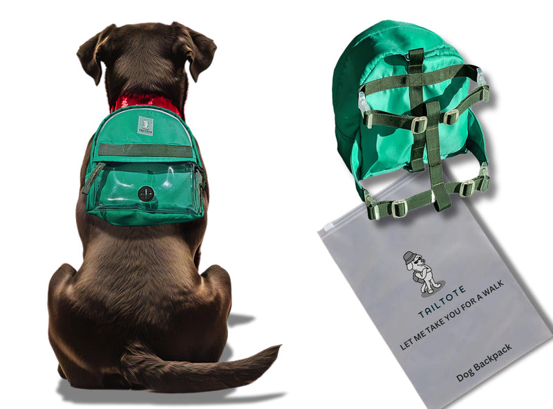 Dog Hiking Backpack Harness Lightweight, Adjustable, and Water-Resistant Pet Poopbag Holder for Outdoor Adventures,Puppy School or Everyday Walks (Medium) Medium - PawsPlanet Australia