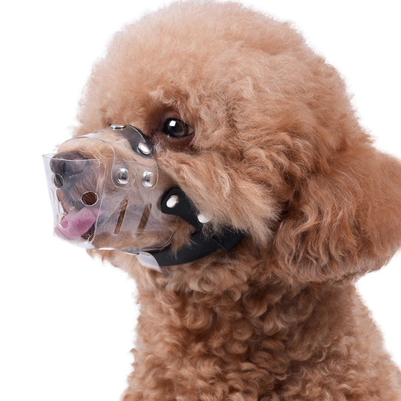 Mayerzon Dog Muzzle, Basket Muzzle for Small Medium Dogs Poodle Dachshund Corgi, Clear Puppy Mouth Cover for Grooming Vet Visits to Prevent Biting Chewing Scavenging, Allow Panting Drinking XS [Snout Cir: 5-6"] - PawsPlanet Australia