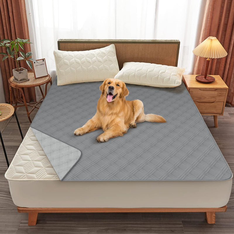 Double-Sided Waterproof Blanket, Antislip Pet Blanket Sofa Couch Furniture Protector Washable Bed Cover Reversible for Puppy Large Dog Cat (68"*82") 68"*82" - PawsPlanet Australia