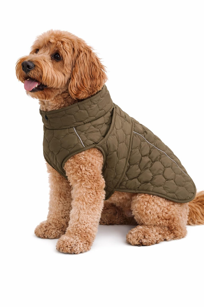 Dog Cold Weather Coat Vest Warm Fleece Jacket Puffer Dog Clothes for Small Dogs Medium Large Dogs (Green, Small) Green