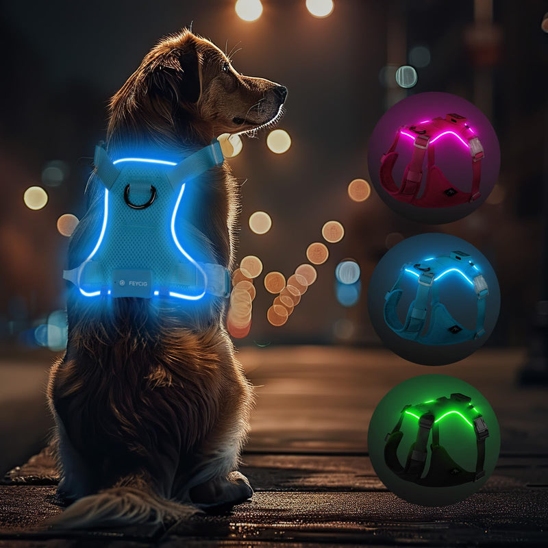Light Up Dog Harness,Reflective Pet Harness Rechargeable,Led Dog Vest for Night Walking,Adjustable Safety Vest for Small Medium Large Dogs-No Pull,Blue,S Blue S - PawsPlanet Australia
