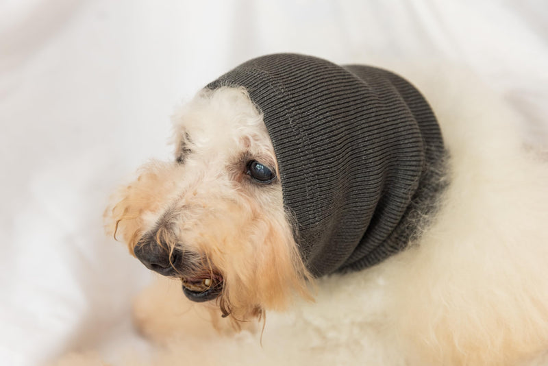 Dog Hematoma Ear Wrap,Pet Ear Flap Head Wrap for Dogs Anxiety Relief – Noise Canceling for Fireworks, Thunderstorms, Pet Grooming & Force Drying(Grey M). Grey Medium - PawsPlanet Australia