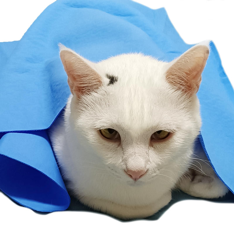 Quick-Dry Dog Towels Cat Towels - Dries Cats Dogs Fast - Easy to Wring Out & Reuse Shammy Bath Towels 1PCS Blue Suitable for Pets Dogs Cats (M 26 * 17inch Adult Cats and Dogs) M 26*17inch adult cats and dogs - PawsPlanet Australia