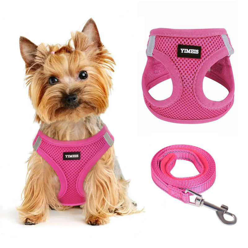 Dog Harness for Small Dogs and Leash Set, Honeycomb Grid, Reflective Lightweight Harness & Anti-Twist Pet Lead (Multi Color, Size: XS-S-M) (S, Rose red) S - PawsPlanet Australia