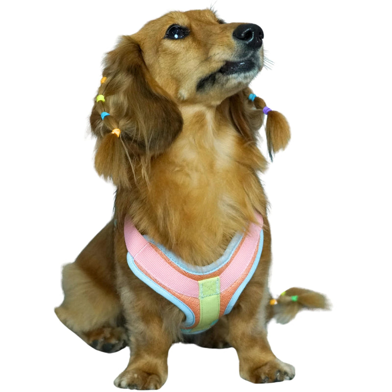 Blueberry Pet Vibrant Mesh Padded Ultra Cool Lightweight Dog Harness Vest in Coral, Small, Neck 15¾", Chest 14¾"~21" - PawsPlanet Australia