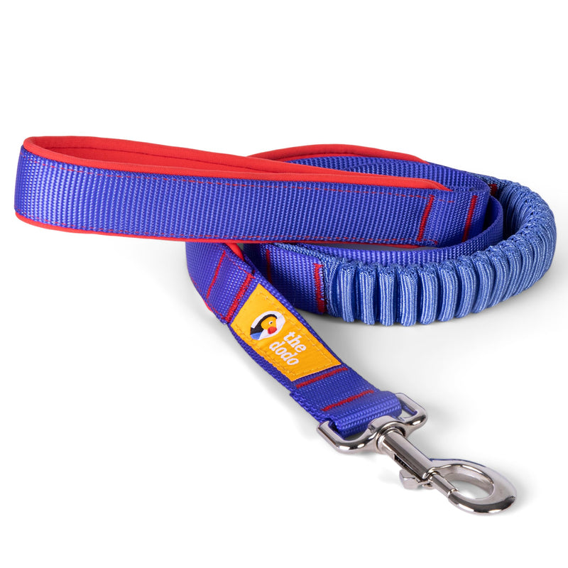 The Dodo Bungee Dog Leash, Blue - Easily Attaches to Any Dog Collar or Harness D-Ring - Two Length Options - Comfortable 4 Feet Walking Leash for All Dogs - PawsPlanet Australia