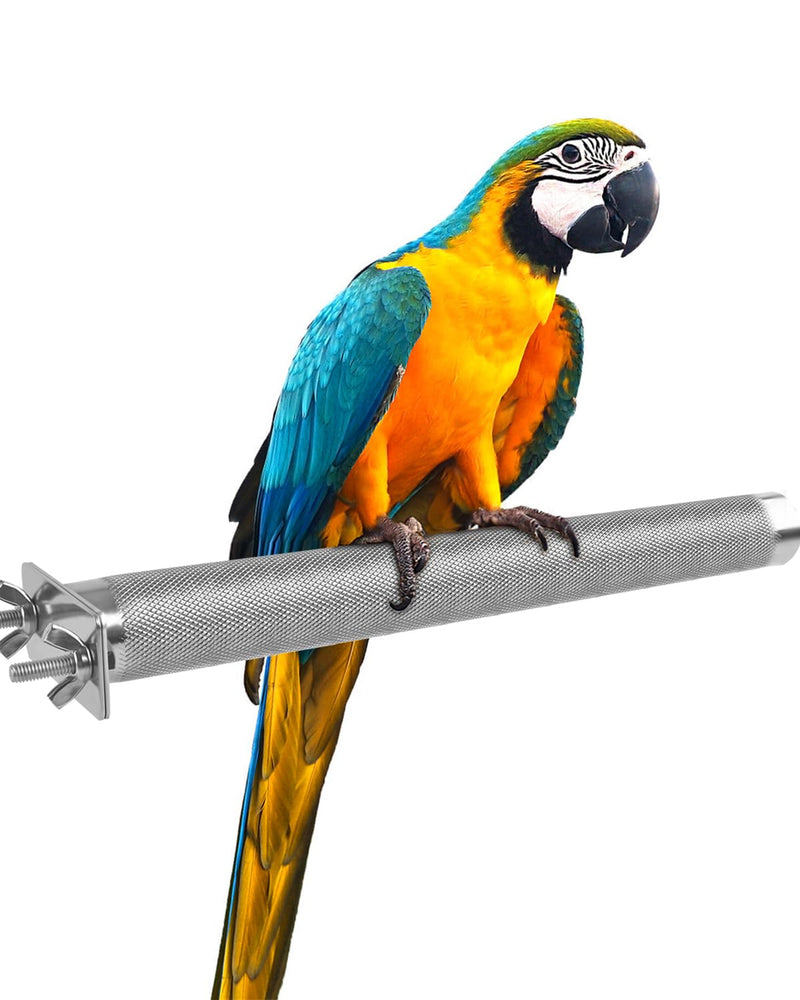 KATUMO Parrot Perch - Stainless Steel African Grey Perch Bird Cage Accessories for Small to Large Parrots (11.8 x 1.2 inch) L: 11.8 x 1.2 inch - PawsPlanet Australia