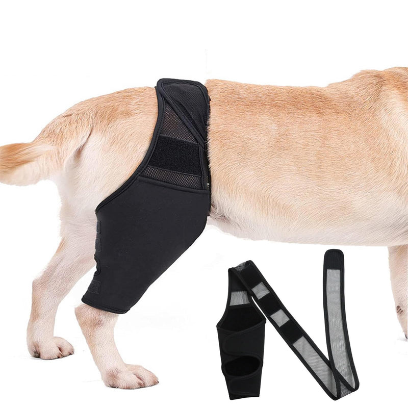 Dog Acl Brace Hind Leg,Dog Knee Brace for Torn Acl Hind Leg (Universal Front and Rear Legs),Adjustable Dog Knee Brace for Acl Tears, Hip Dysplasia, Osteoarthritis and Ligament Injuries (L) L - PawsPlanet Australia